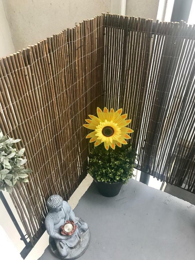 City Centre Georgian Apartment Dublin Kültér fotó