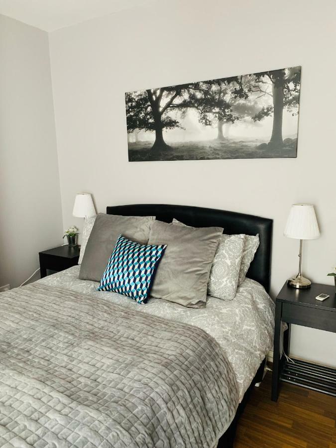 City Centre Georgian Apartment Dublin Kültér fotó